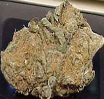 cannabis buds from goldenseed